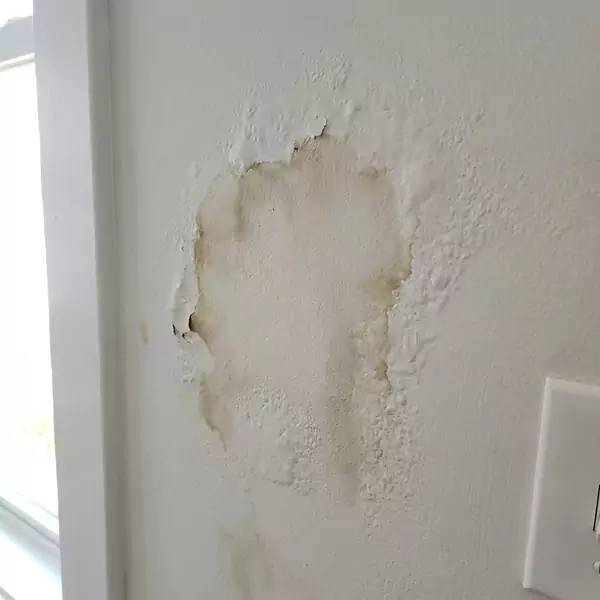 Expert Drywall Water Damage Repair in Pembroke Pines, FL