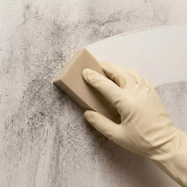 Smoke Cleaning in Pembroke Pines, FL 