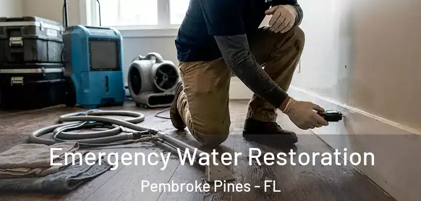 Emergency Water Restoration Pembroke Pines - FL