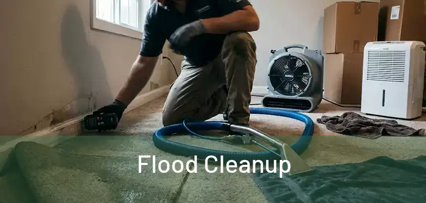  Flood Cleanup 