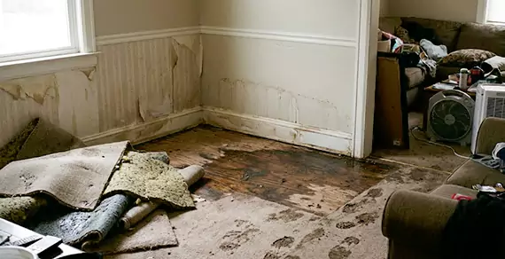 Why Choose Pembroke Pines Water Damage Pro For Water Damage Restoration Services in Pembroke Pines, FL?