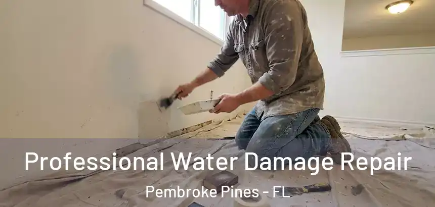  Professional Water Damage Repair Pembroke Pines - FL