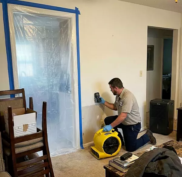 Why Homeowners & Businesses Choose Pembroke Pines Water Damage Pro for Water Remediation in Pembroke Pines, FL?